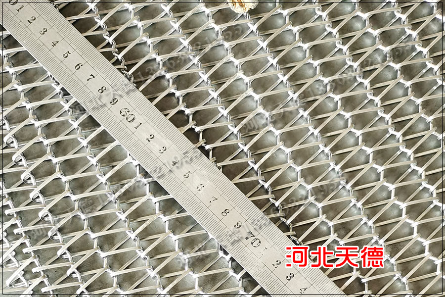 鏈條傳送不銹鋼輸送帶